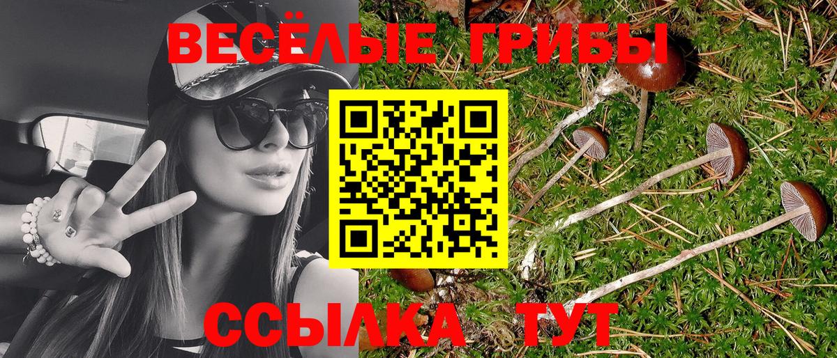 Лесной  Псилоцибиновые грибы Psilocybe  Вход с VPN 